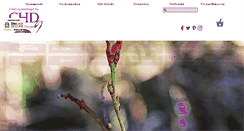 Desktop Screenshot of chris-ho.com